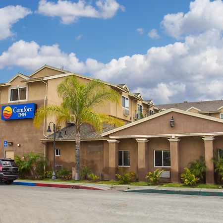 Comfort Inn Cockatoo Near Lax Airport Хоуторн Экстерьер фото