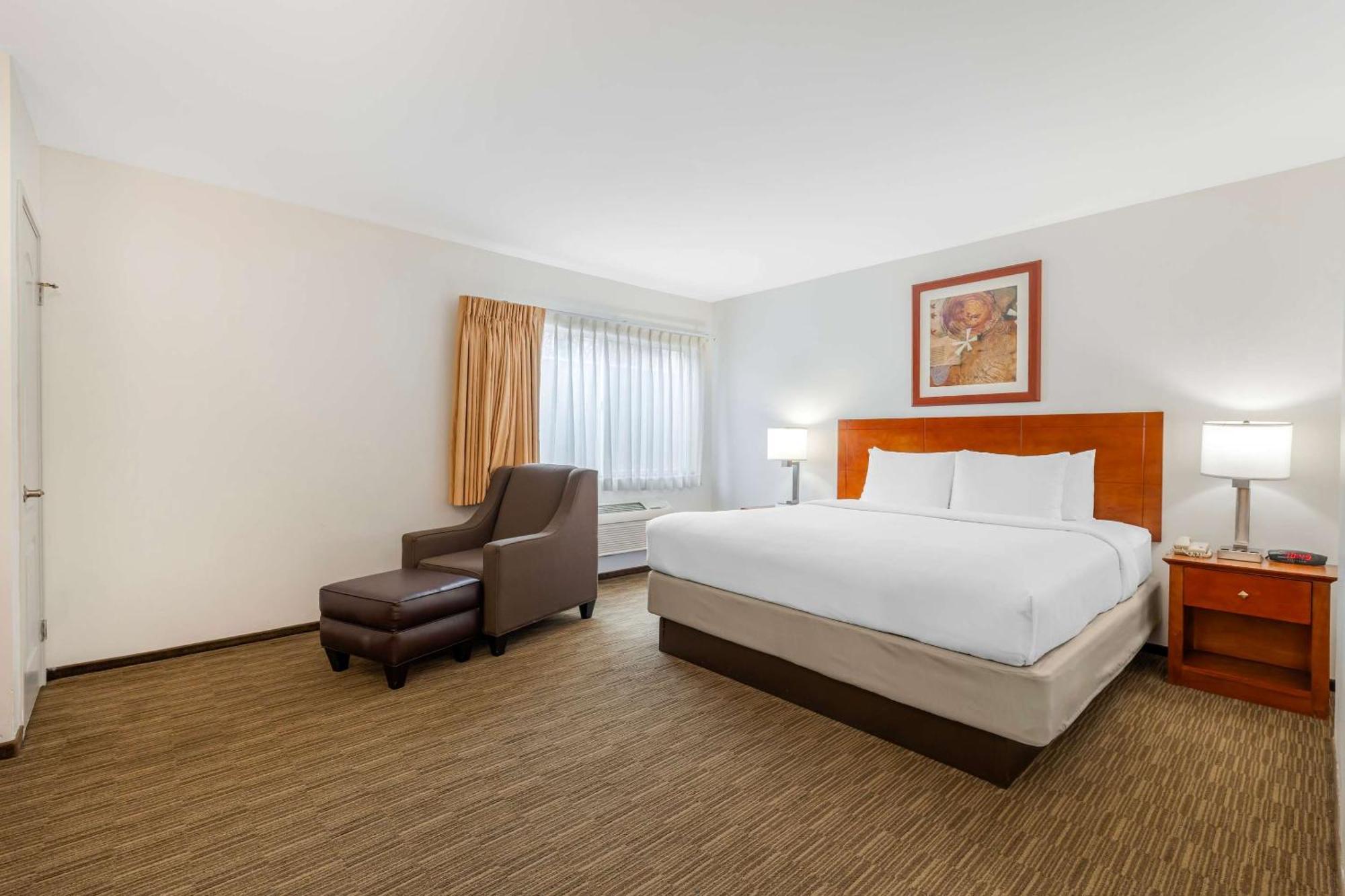 Comfort Inn Cockatoo Near Lax Airport Хоуторн Экстерьер фото