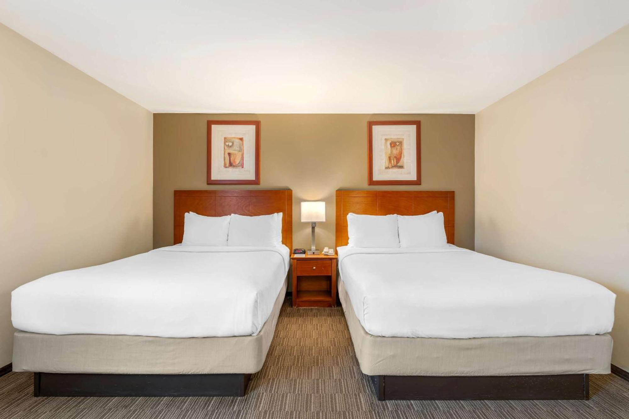 Comfort Inn Cockatoo Near Lax Airport Хоуторн Экстерьер фото