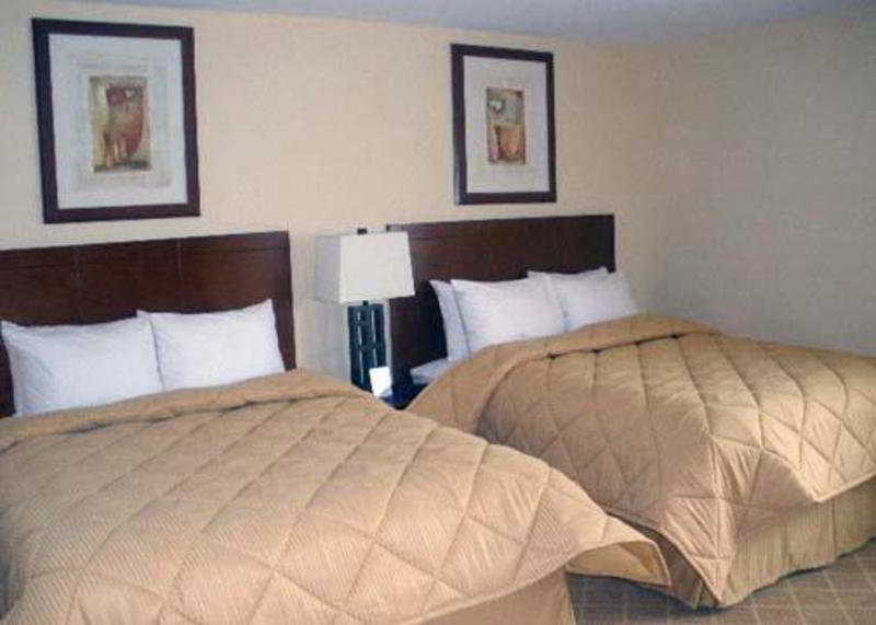 Comfort Inn Cockatoo Near Lax Airport Хоуторн Экстерьер фото