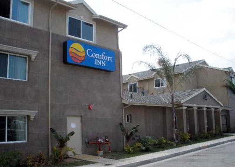 Comfort Inn Cockatoo Near Lax Airport Хоуторн Экстерьер фото